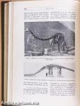 Természettudományi Közlöny 1910. január-december/Pótfüzetek a Természettudományi Közlönyhöz 1910. január-december