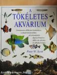 A tökéletes akvárium