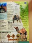 Guinness World Records 2008