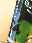 Élet a Földön