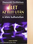 Élet az élet után