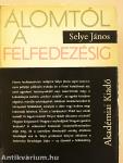 Álomtól a felfedezésig