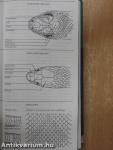 National Audubon Society Field Guide to North American Reptiles and Amphibians