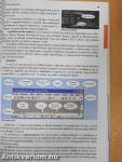 Irány az ECDL!/a középszintű érettségi!