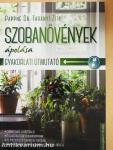 Szobanövények ápolása