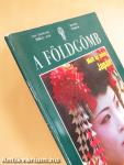 A Földgömb 2006. január-február