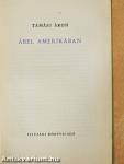 Ábel Amerikában 