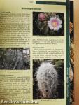 Arizona Cactus/Kaktusz-világ 2005. január-december/Kaktusy 2002/2./Bonsai magazin 1988. tavasz/Virágzó kövek/Kakteen und andere Sukkulenten Juni 2003/Kaktusz-világ 1988. 1-2., 4./Dísznövény 2003