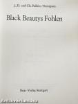 Black Beautys Fohlen