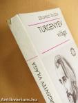 Turgenyev világa
