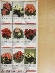 Potplanten/Pot Plants/Topfpflanzen/Plantes en pot/Piante da vaso/Planta en particular 1991/92