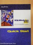 SQLWindows Solo