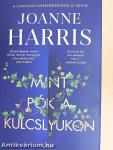 Mint pók a kulcslyukon