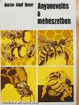 Anyanevelés a méhészetben