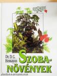 Szobanövények