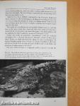 Crocodiles & Alligators of the World