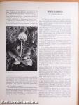 A Természet 1932-1933. január-december