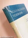 Belgyógyászati vesebajok