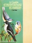 A Guide to Birdwatching in Hungary
