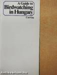 A Guide to Birdwatching in Hungary
