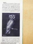 A Guide to Birdwatching in Hungary