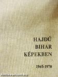 Hajdú-Bihar képekben