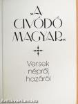 "A civódó magyar"