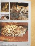 Field Guide to the Mammals of Southern Africa