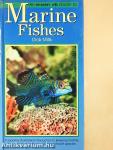 An Interpet Guide to Marine Fishes