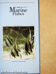 An Interpet Guide to Marine Fishes