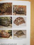 Field Guide to Snakes 