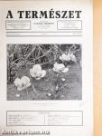 A Természet 1935. május