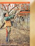 Pruning Techniques