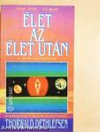 Élet az élet után