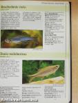 Akvarista kézikönyv