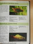Akvarista kézikönyv