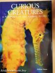 Curious Creatures