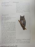 Owls of the World
