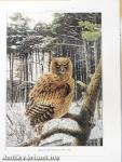Owls of the World