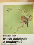Miről dalolnak a madarak?