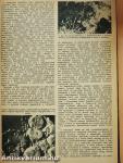 Természettudományi Közlöny 1966. január-december