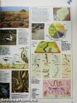 Grosser Atlas des Tierlebens