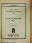 Concerto for 2 Trumpets and Strings Orchestra