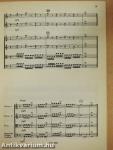 Concerto for 2 Trumpets and Strings Orchestra