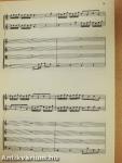 Concerto for 2 Trumpets and Strings Orchestra