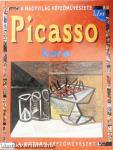Picasso kora