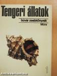 Tengeri állatok 1.