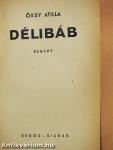 Délibáb