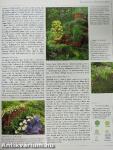 Encyclopedia of Herbs & Their Uses