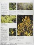 Encyclopedia of Herbs & Their Uses